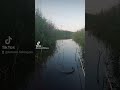 хороший улов #рыбалка #fishing #втоп #выходные #рибалка #fish