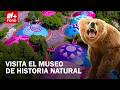 Ciencia y deporte se unen en el Museo de Historia Natural