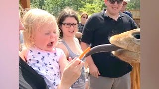 KIDS & BABIES meet ANIMALS, the FUNNIEST MOMENTS EVER! - A real LAUGH BOMB!