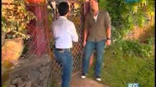 theflower-2.flv