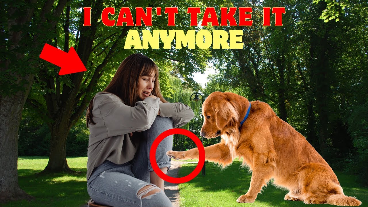 She was DESPERATE and what this dog did is UNBELIEVABLE YouTube