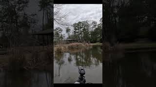 HUGE Crappie Hits Slab Hunt&#39;r Minnow!