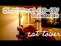 おしゃれキャットタワーをDIY!ロシアンブルーのおうちをリノベーション!