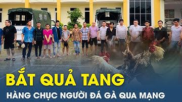 Bắt quả tang 18 đối tượng tụ tập đánh bạc bằng hình thức đá gà qua mạng | VietTimes
