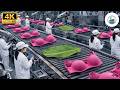 Inside the World's Largest Bra Factory: Banana Leaf Tech (Full Process