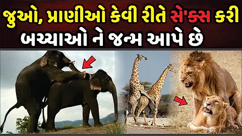 પ્રાણીઓ કેવી રીતે કરે છે અને બચ્ચાને જન્મ આપે છે? તમને જાણીને નવાઈ લાગશે | How Do Animals Give Birth