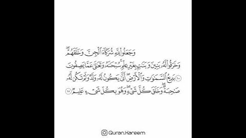 القارئ سعد الغامدي - سورة الأنعام - من الآية 100 إلى الآية 101