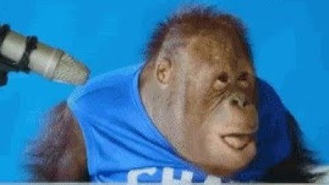 some random maze run