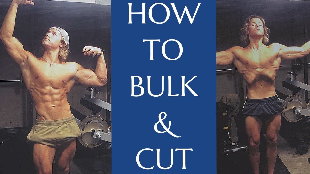 bulking and cutting guide