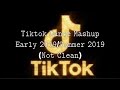 Tiktok dance mashup Early 2019/summer 2019 (not clean)