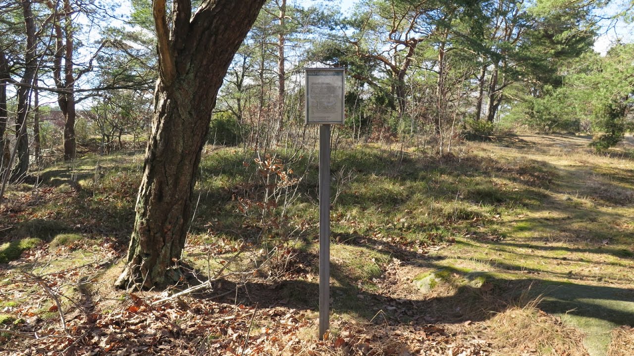 Fornminnen vid Reningsverksg i Göteborg 2016