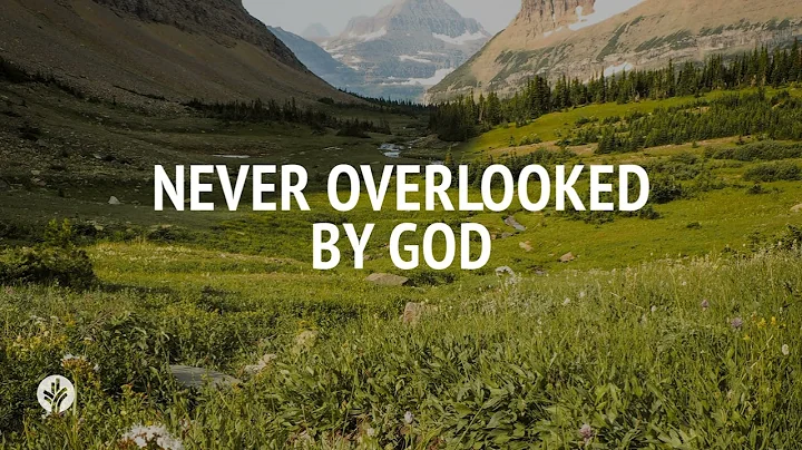 Never Overlooked by God | Audio Reading | Our Daily Bread Devotional | February 13, 2025