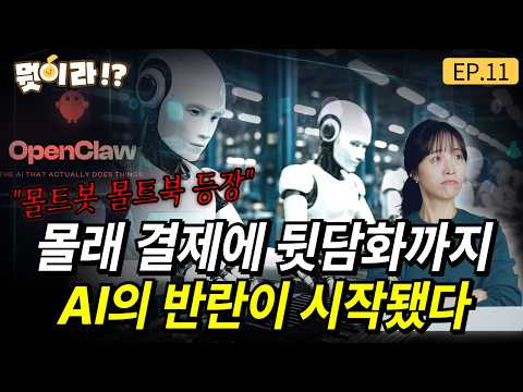 AI들끼리 다 합니다 특이점 온 것 같습니다 몰트봇(오픈클로) 몰트북 등장 [뭣이라!? EP.11] / 송이라 기자