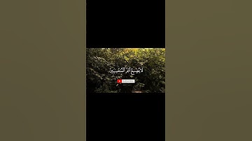 عودة إلى القرآن الكريم #قران_كريم #قرآن #توبة #ذكر #تدبر_القرآن #حمد .