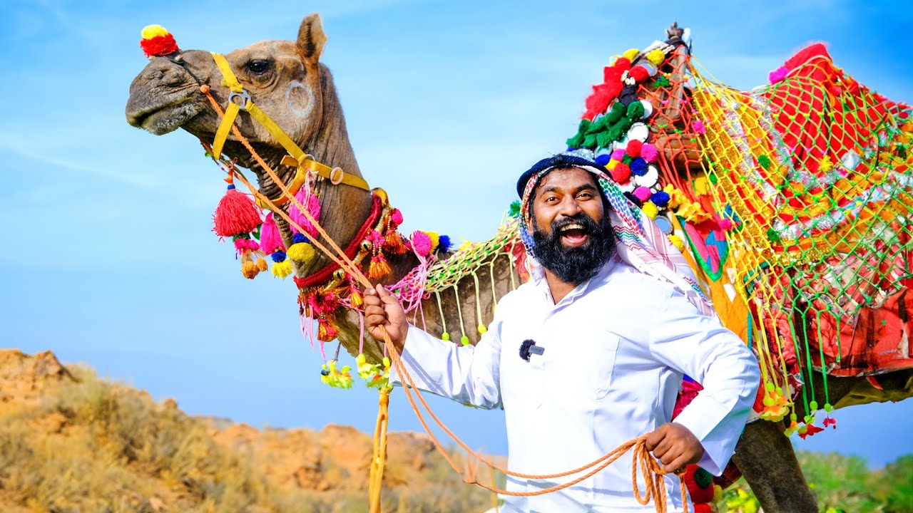 I Bought A Big Camel | ഞാൻ ഒരു ഒട്ടകത്തെ വാങ്ങിച്ചപ്പോൾ | M4 TECH |