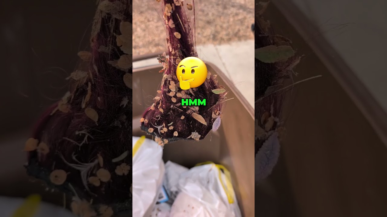 На улице обнаружен загадочный предмет — что это?