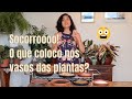 O QUE COLOCAR NOS VASOS DE PLANTA: Casca de coco? Condicionador de solo? Terra Vegetal?