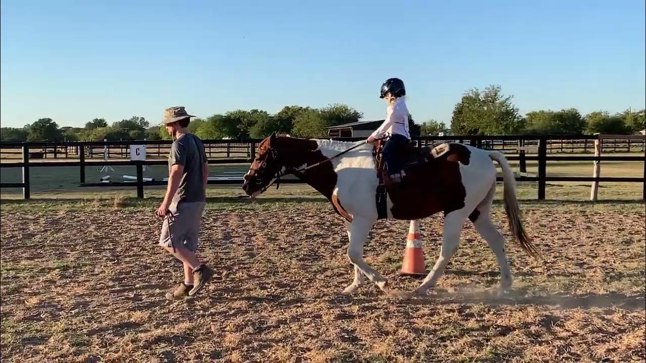 LCA exhibitor207 class Leadline division (walk) YouTube