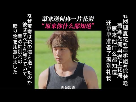 #夏花#言承旭#徐若晗 なぜ萧寒は花の海を送ったのか彼はすべてを知っていて早めに別れの贈り物を用意しました 萧寒为何冉送上花海原来他什么都知道还早早准备了离别礼物#ジェリー・イェン#Jerry Yan