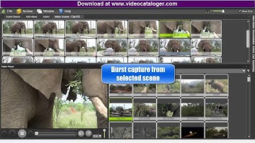 Fast Video Cataloger 3 -- About the video Player