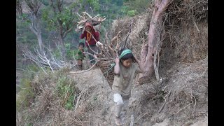 Myvillage official videos EP 945 ||  Cutting and carrying technology of firewood || documentary