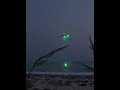 BEST UFO FOOTAGE EVER? SHOCKING OBJECT CAUGHT HOVERING OVER BEACH! 😱🛸