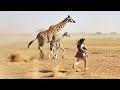 How a primitive human captured a giraffe.Al history video/#aihistory#aianimation  #trending #aivideo