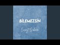 Bilemezsin