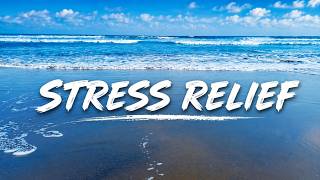 Relaxing Night Ocean Waves 4K | Moonlit Beach for Stress Relief & Meditation