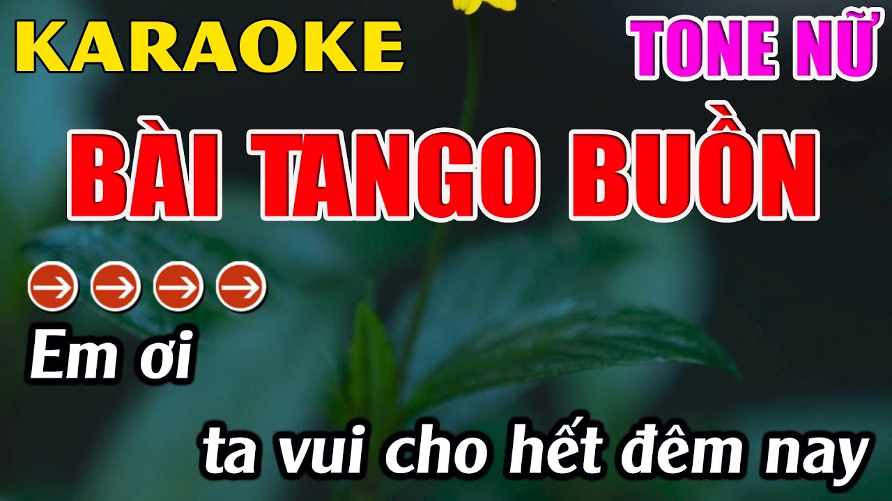 Bài Tango Buồn Karaoke Tone Nữ Karaoke Hoàng Long -  Beat Mới