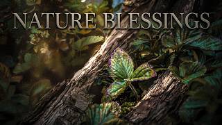 Nature Blessings HQ (Artistic Fusion) (hedendaagse kunst)