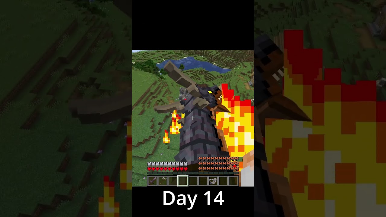 It's come to this 😅