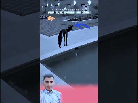 في لحظات تخرج الشياطين وترها تتحول وتدخل المنازل بصوره تجعل الجسم يقشعر حالات واتساب عبارات