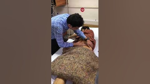 spleen #spleen #palpation #clinical #methods #splenomegaly #ytshorts #youtubeshorts #trending