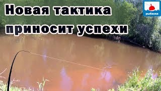 видео: Новая тактика в ловле голавля на майского жука картинка: Новая тактика в ловле голавля на майского жука
