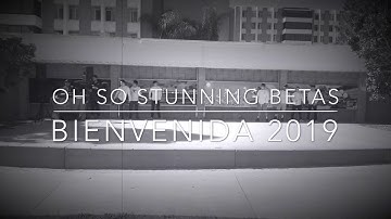 UCSB Betas Bienvenida 2019