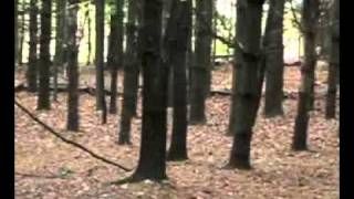 Exploring The Watershed, an Overview.mp4