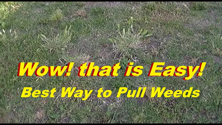 Pulling Weeds Fast & Easy