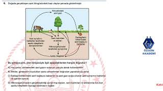2025 LGS FEN BİLİMLERİ SORULARININ ÇÖZÜMLERİ