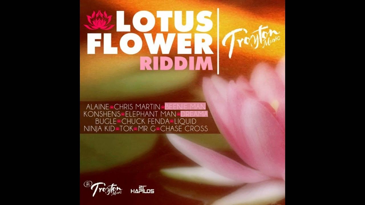 Lotus flower djimboh remix Lotus flower djimboh remix