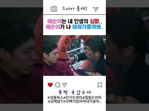 ◎폭싹속았수다◎ "애순이는..내 인생의 십할..." / "오빠가 없어야 내가 살아.." 관식이와 애순이의 어긋난 사랑...과연.....#폭싹속았수다#넷플릭스드라마#인기드라마#명대사