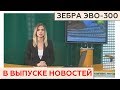 Группа компаний ПСО - В новостях на 31 канале!