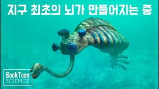 캄브리아기 바다 밑에서 일어난 일 [북툰 과학다큐]