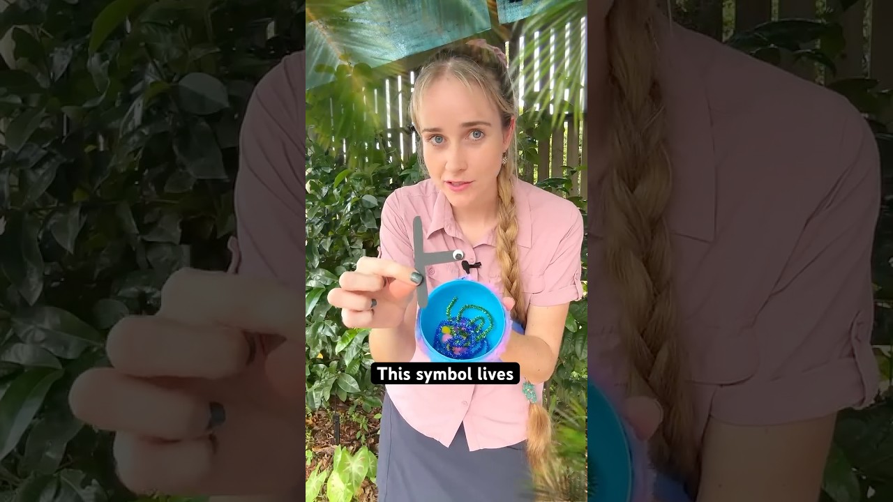 ⊢ explained David Attenborough style