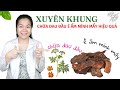 Dược liệu Xuyên khung chữa đau đầu, ê ẩm mình mẩy do ngoại cảm phong tà