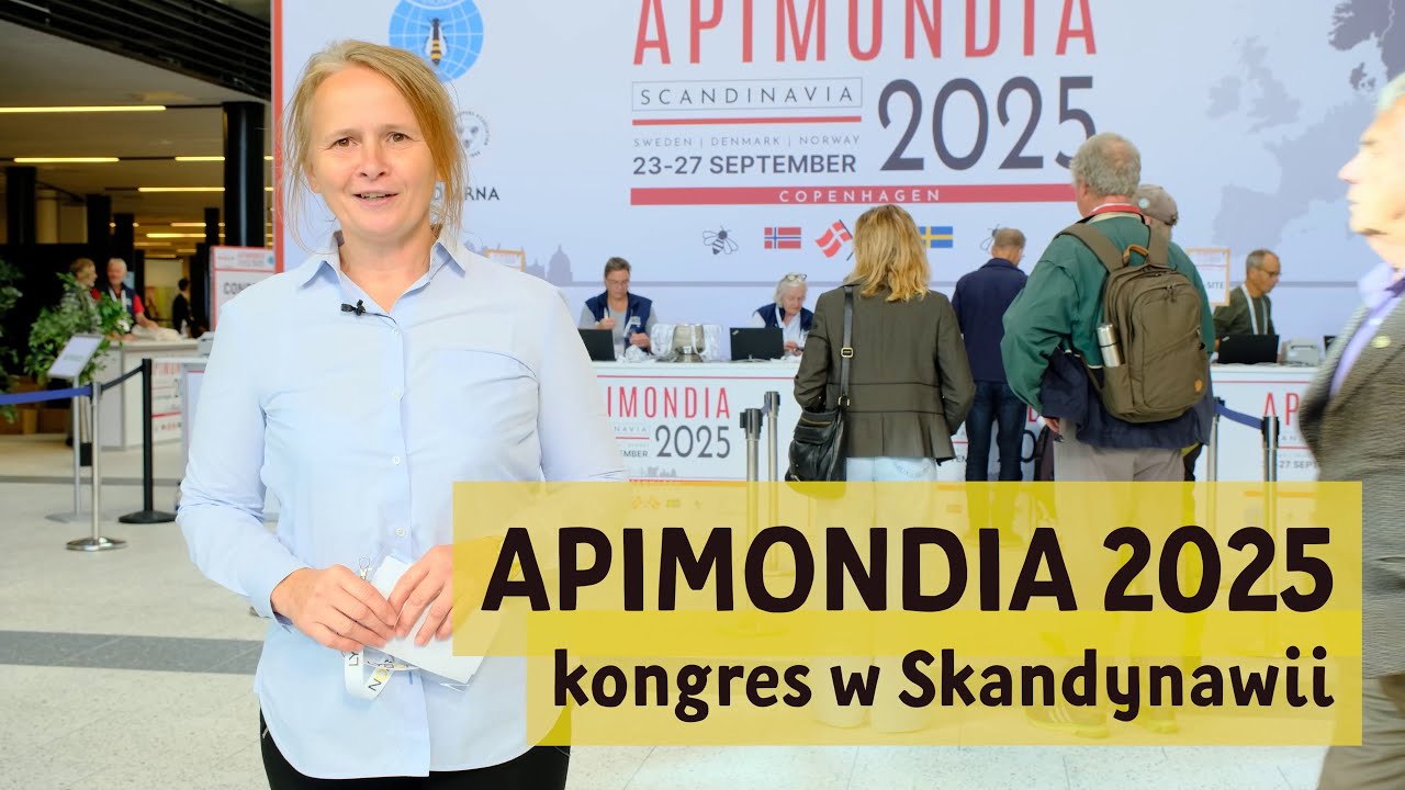 Apimondia 2025