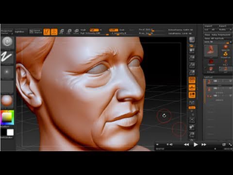 how to create crease in eyelids in zbrush