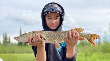 Pike fishing at our Remote Off Grid Alaskan Log Cabin & pt 1 of our Sauna/Outhouse build