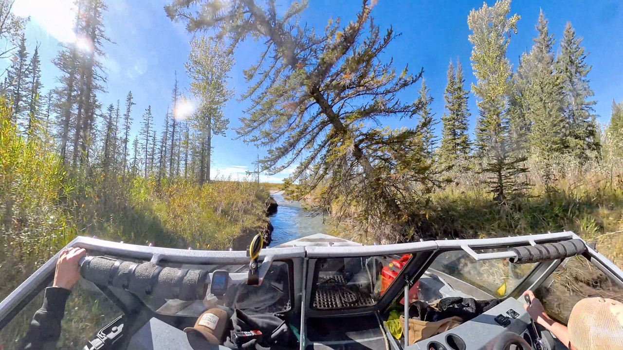 Commit.  Don’t Gamble |  Between the Banks