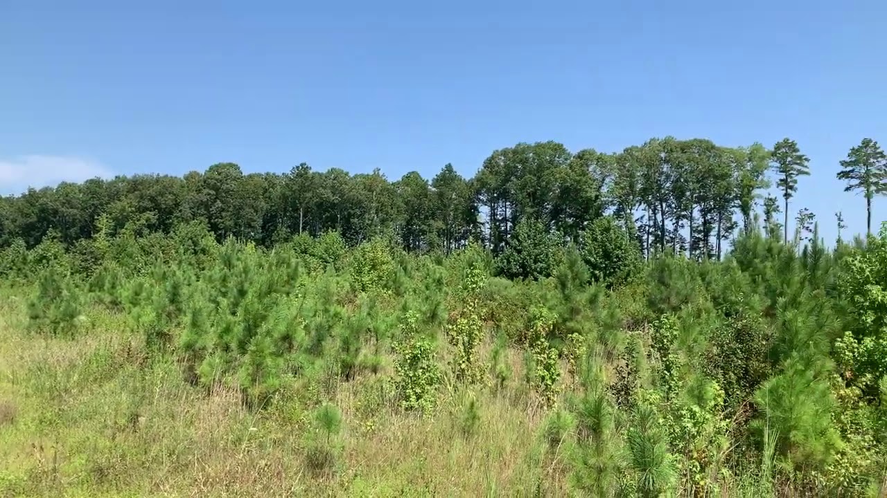 +/99 Acres For Sale in Oktibbeha County, MS Ben Rudolph NLR Land